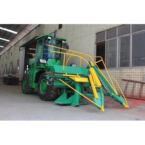 Klitoral orgazm haqida video